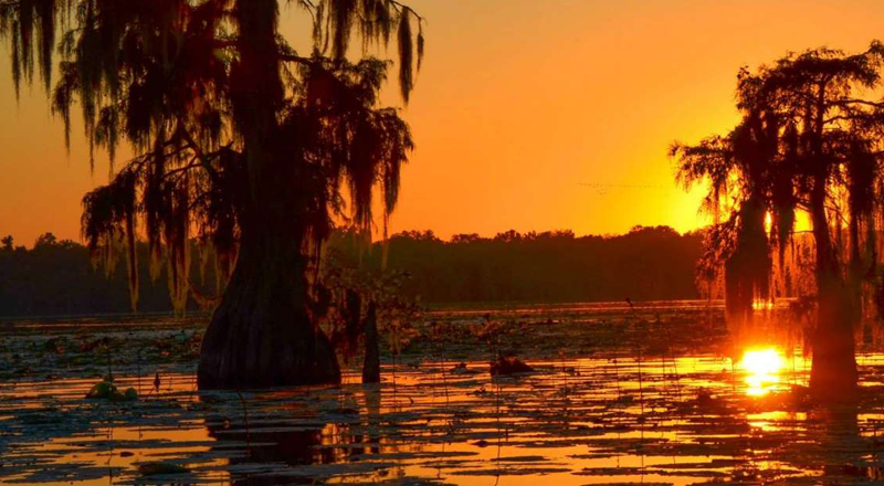 LCVC image - Swamp Sunset